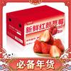 京鲜生 Mr.Seafood 安徽长丰红颜草莓净重2.8斤装大果20g+生鲜水果年货礼盒 源头直发