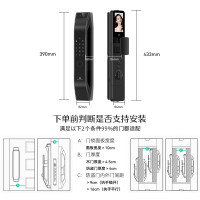 德施曼 DESMAN 大圣 Q5 FPro智能门锁