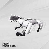 WEILAN BabyAlpha Dev系列 蔚蓝阿尔法机器狗 全新一代人工智能机器狗 AI机器狗 BabyAlpha DevQ 月岩灰