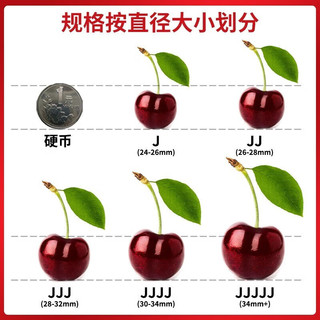 果益寿车厘子樱桃美国进口水果礼盒装【JD顺丰丨可送货上门】中秋节送礼 500g 3J级 30-32mm【保温箱装】