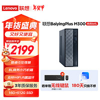 联想 Lenovo 百应M300 商用办公个人家用台式电脑主机 (酷睿12代i5-12450HX 16G 512G SSD WiFi)