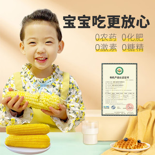 轻语拾光有机白糯玉米260g*8≥5斤 甜糯玉米棒 软糯香甜早餐 非转基因
