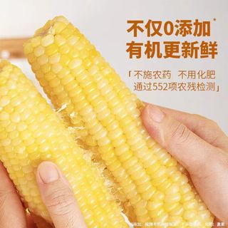 轻语拾光有机白糯玉米260g*8≥5斤 甜糯玉米棒 软糯香甜早餐 非转基因
