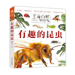 《千奇百怪的昆虫·有趣的昆虫》（精装）