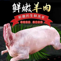 京沭 宁夏滩羊肉生鲜现宰10-30斤烤全羊整只羔羊肉新鲜烧烤食材整羊 全羊整只10-12斤