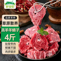 呼贝伦国产滩羊 羔羊羊蝎子4斤 火锅食材 原切羊脊骨炖煮佳品 源头直发 精选多肉羊蝎子4斤