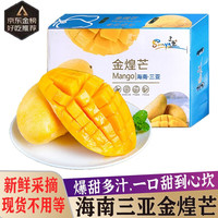 奶萝 海南三亚金煌芒果新鲜时令水果纸核芒水仙大芒果特大礼盒装 5斤精选大果
