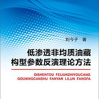 低渗透非均质油藏构型参数反演理论方法