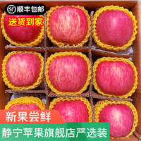 静宁苹果 【到家】甘肃红富士苹果水果 新鲜应季静宁苹果 净重5斤装10-12枚75中果严选装 10-12枚75净重5斤中果
