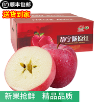 静宁苹果 【到家】甘肃红富士苹果水果 新鲜应季静宁苹果 30枚80大果精品装