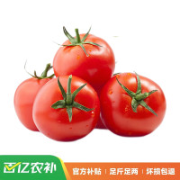 PLUS会员:京觅 山东普罗旺斯西红柿 净重5斤装 单果100g