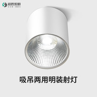 毅胜 LED明装筒射灯免开孔圆形吊装形吸顶餐厅灯商用美术馆艺术吊灯