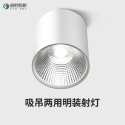 毅胜 LED明装筒射灯免开孔圆形吊装形吸顶餐厅灯商用美术馆艺术吊灯
