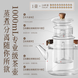 小熊 迷你电陶炉 煮茶器煮茶炉煮茶壶 养生围炉煮茶黑茶花茶泡茶不挑器具 DTL-J13N3