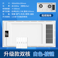 科狮龙 全铝双核 浴霸灯 300MMX600MM 升级款双核按键