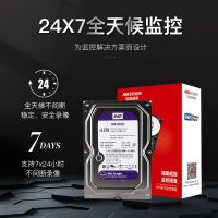 海康威视 紫盘系列 3.5英寸监控级硬盘 1TB 64MB (PMR、5400rpm、64MB) WD10PURX