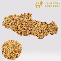 青稞米500g*5袋邮高原特产粗粮五谷杂粮煮粥营养石磨蓝青稞米5斤