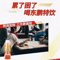 东鹏 特饮维生素功能性饮料500ml*12瓶l运动健身能量饮料5