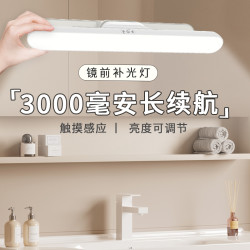 钱康 LED镜前灯 ZYTD2401一A 32cm三色光 2000毫安+充电头 无极调光 调节底座