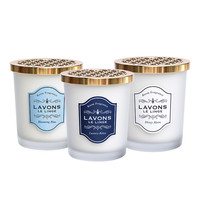 LAVONS LE LINGE 固体香薰 香槟月夜150g 衣柜香氛 厕所空气清新