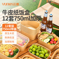 云蕾 一次性饭盒纸碗餐盒带盖750ml*12套露营野餐好物