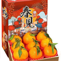 正宗四川 优选春见耙耙柑 净重4-4.5斤 特大果