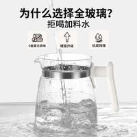 奶瓶消毒器二合一温奶家用冲奶粉一体全玻璃恒温水壶婴儿泡奶
