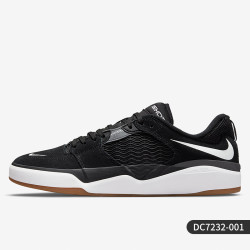 NIKE 耐克 SB Ishod 男女板鞋 DC7232-700