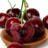 晨臻智利车厘子 精选大果车厘子 大樱桃生鲜水果 4.8斤(净重) JJ级大果