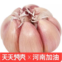 新干蒜5斤大蒜头种籽干大蒜种子河南新鲜蔬菜1/9斤紫白皮蒜