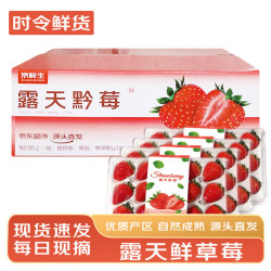 京鲜生 Mr.Seafood 黔莓大凉山露天草莓2.4斤 单果15g-25g