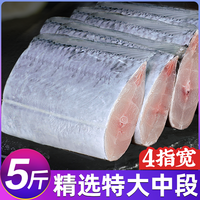 东上御品四指带鱼段特宽中段无冰新鲜冷冻特大号刀鱼生鲜海鲜水产