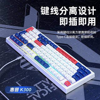 惠普（hp）惠普K300键盘有线机械手感静音高颜值打字办公电脑键盘99键 蓝白红彩虹光版+鼠标-赠鼠标垫