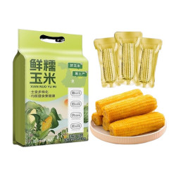 邹有才 东北黄糯玉米棒 8支