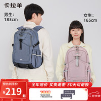 卡拉羊【新品考拉抱抱包】初高中大学生多功能电脑包休闲双肩包CX5529 小包|