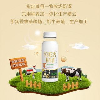 君乐宝悦鲜活鲜牛奶450ml*2+A2型260ml*7组合装营养高钙奶