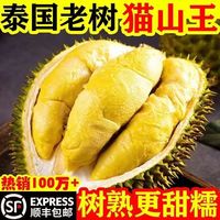 樱鲜 泰国 猫山王榴莲肉 A+级品质 500g