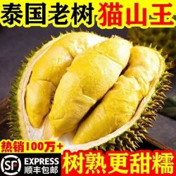 樱鲜 泰国 猫山王榴莲肉 A+级品质 500g