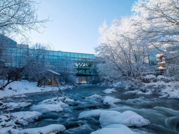 机票跳水!近二道白河/北景区!长白山在之禾度假酒店·二道白河店 大床房3晚连住(含双早+正餐+滑雪+泡汤)