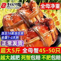 盘锦河蟹 网兜蟹特大辽宁盘锦河蟹全母蟹 1.0-1.2两45-50只