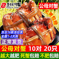 【活蟹】网兜蟹特大辽宁盘锦河蟹稻田河蟹礼盒鲜活中秋大闸蟹 公母对蟹2.2-2.5两【10对】20只
