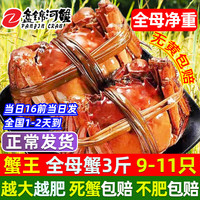 【活蟹】网兜蟹特大辽宁盘锦河蟹稻田河蟹礼盒鲜活中秋大闸蟹 全母蟹2.8-3.0两【3斤】9-11只