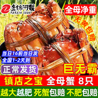 【活蟹】网兜蟹特大辽宁盘锦河蟹稻田河蟹礼盒鲜活中秋大闸蟹 全母蟹3.2-3.5两【8只】巨无霸