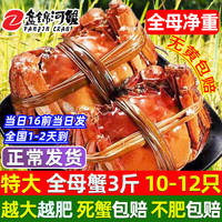 【活蟹】网兜蟹特大辽宁盘锦河蟹稻田河蟹礼盒鲜活中秋大闸蟹 全母蟹2.6-2.8两【3斤】10-12只