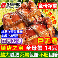【活蟹】网兜蟹特大辽宁盘锦河蟹稻田河蟹礼盒鲜活中秋大闸蟹 全母蟹3.2-3.5两【14只】巨无霸
