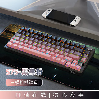 ROYAL KLUDGE S75 81键 三模机械键盘 黑莓粉 冰川轴 RGB