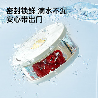 炊大皇 玻璃饭盒保鲜盒微波炉耐热轻便上班族学生带饭便当包餐盒