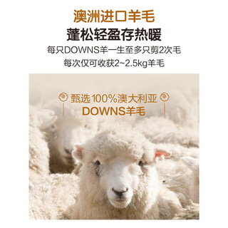 1号会员店（One's Member）100%澳洲纯羊毛被A类羊绒抗菌羊毛加厚保暖被芯 220*240cm