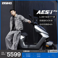 ZEEHO 新国标 电动自行车  AE5ipro（48V12AH） 铅酸电池 12Ah 48V
