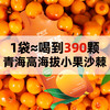 伊禧堂沙棘原浆内蒙青海沙棘VC鲜榨NFC沙棘汁原浆